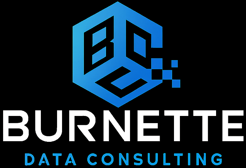Burnette Data Consulting logo